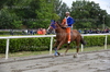 Immagine <b>REG_9235</b>